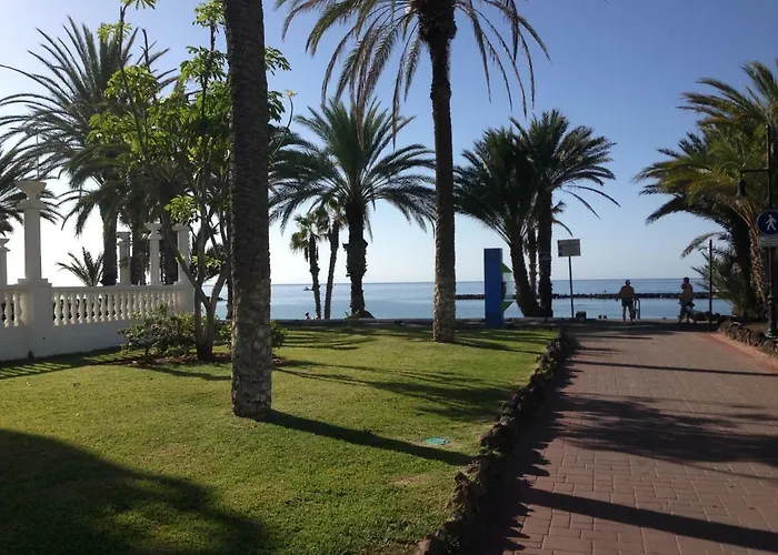 Dadas * Playa de las Americas (Tenerife)